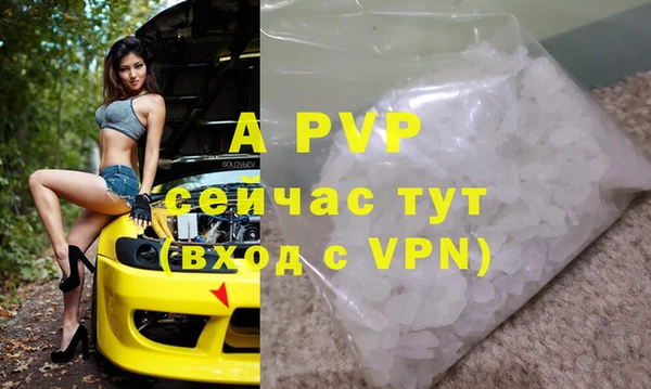 индика Белоозёрский