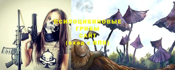 ешки Беломорск