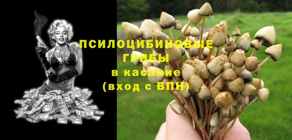 ешки Беломорск