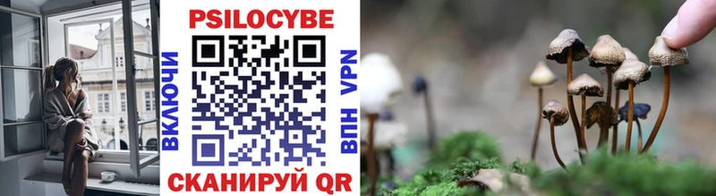 Галлюциногенные грибы Psilocybine cubensis  ОМГ ОМГ как зайти  Гулькевичи 